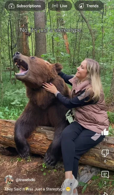 Tom The Bear